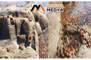 Dünyanın ilk ve tek sakin adası Gökçeada’dan korkutan görüntüler