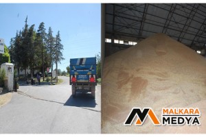 Malkara TMO’da mahsul alımları devam ediyor