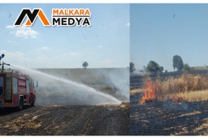 Malkara'da 500 dönüm anız alev alev yandı