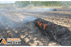Malkara'da balya makinesinden sıçrayan kıvılcım tarlayı küle çevirdi