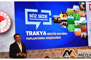 Pakdemirli: "Ayçiçeği yağ desteğini arttırdık"
