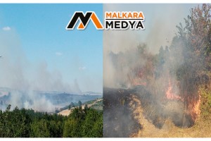 Tekirdağ’da orman yangını: Havadan ve karadan müdahale ediliyor