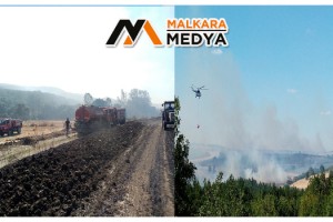Tekirdağ'daki orman yangını ot makinesinden çıkmış