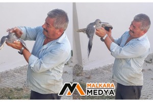 Malkara'da Muhtar havada yakaladığı atmacayı bağrına bastı