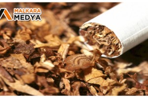 Malkara’da tütün operasyonu