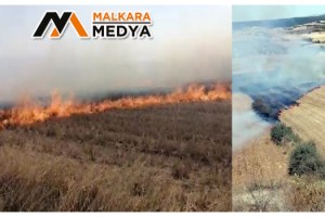 Malkara'da 100 dönüm anız alev alev yandı