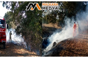 Malkara'da ağaçlık alanda korkutan yangın