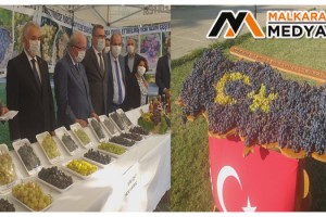 Türkiye’de hiçbir yerde olmayan üzümler bu şenlikte sergilendi