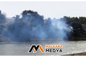 Malkara'da anız yangını ağaçlık alana sıçradı