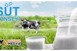 Çiğ sütte tavsiye fiyatı 2.80 TL olarak belirlendi