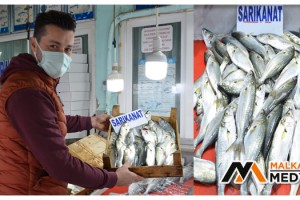 Karadeniz’den çıkan 20 tonluk müjde kısa sürdü
