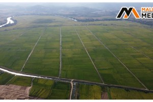 Tarım alanlarında 8,25 milyon hektar alanda toplulaştırma çalışmaları sürüyor