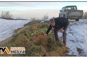 Malkara ve Saray'da yaban hayatına 1 buçuk ton yem bırakıldı