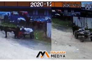 Malkara'da at arabasıyla 4 ton demirin çalındığı anlar kamerada