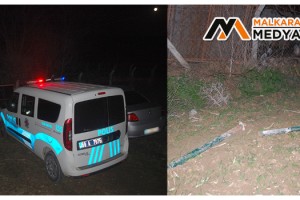 Malkara'da köpekleri besleyip tavuk çiftliğinden panel çitleri çaldılar