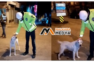 Malkara'da Polisin köpeğe şefkati yürekleri ısıttı
