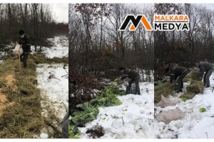 Tekirdağ'da yaban hayatına 4 buçuk ton yem bırakıldı