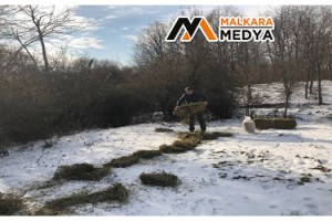 Yaban hayatına yarım ton yem bırakıldı