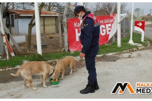 Malkara'da Jandarmadan uygulama sırasında yanına gelen köpeğe şefkat