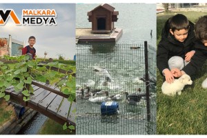 Fabrikasının yanına 5 bin metrekarelik hobi ve hayvanat bahçesi