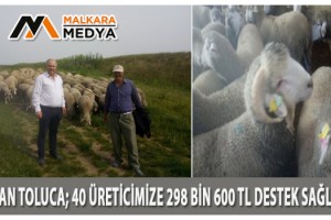 Karacabey Koyunu Islah Proje Ücretleri Hesaplara Yattı
