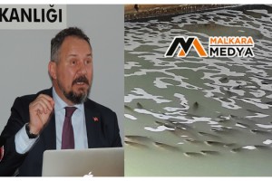 Malkara'da deredeki balık ölümlerinin sebebi evsel atıklar