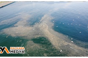 Marmara’da endişelendiren görüntü: Deniz salyası Marmara’yı turuncuya boyadı