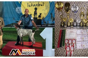 Malkaralı Köpek Eğitmeni Ozan Bora’ya Türkiye Şampiyonu Sertifikası