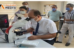 Tekirdağ'da buğday analizleri başladı: Dış armatörlere binlerce dolar akmayacak
