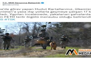 Yunanistan’a kaçmaya çalışan 17 kişiden 11’i FETÖ’cü çıktı