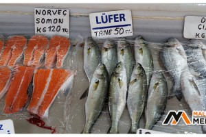Denizin paşası Lüfer tahtını geri aldı: 70'ten 50 liraya indi