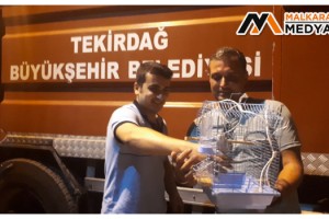 Malkara’da İtfaiyeden Kuş Kurtarma Operasyonu