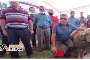 Tekirdağ’da koç güzellik yarışması: Pehlivan, birinciliği kimseye kaptırmadı