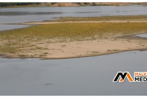 Meriç Nehri'nde kuraklık alarmı