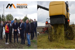 Tekirdağ'da ilk defa damla sulama ile çeltik hasadı yapıldı