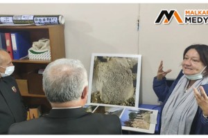 Kazı çalışmalarında mutfak ürünleri ve tarla sınır belgesi bulundu