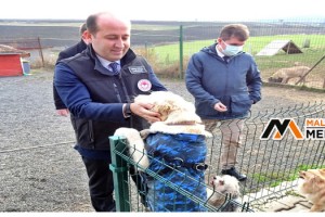 Köpek eğitim ve papağan üretim merkezleri ruhsatlandırıldı