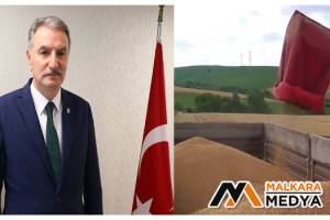 TMO Genel Müdür Güldal açıkladı: "Ekmeklik un üretiminde problem yok"