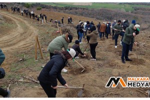 Tekirdağ'da 300 bin fidan toprakla buluşturuldu