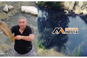 Malkara'da Balık Ölümleri Korkutuyor