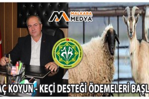 Anaç Koyun - Keçi Desteklemeleri Hesaplara Yattı