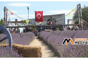 Tekirdağ’da lavanta tarlalarına 1 milyon ziyaretçi hedefleniyor