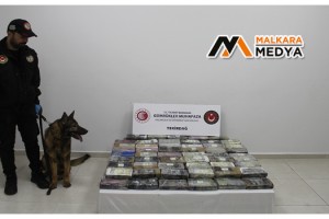 Tekirdağ’da Limandaki konteynerden 114 kilogram kokain ele geçirildi