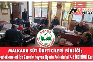 MALKARA SÜT ÜRETİCİLERİ BİRLİĞİ; Süt Desteklemeleri İçin Zorunlu Hayvan Sigorta Poliçelerini “% 6 İNDİRİMLİ” Kesiyor