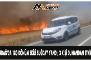 Tekirdağ'da 180 dönüm ekili buğday yandı; 3 kişi dumandan etkilendi