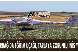 Tekirdağ'da eğitim uçağı, tarlaya zorunlu iniş yaptı