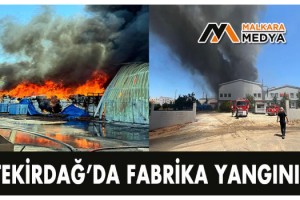 Tekirdağ’da fabrika yangını