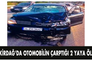 Tekirdağ’da otomobilin çarptığı 2 yaya öldü