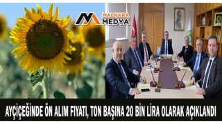 Ayçiçeğinde ön alım fiyatı, ton başına 20 bin lira olarak açıklandı