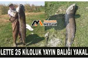 Gölette 25 kiloluk yayın balığı yakaladı